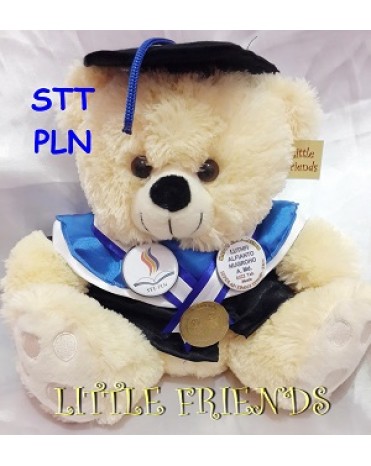 Boneka Wisuda STT PLN (30 cm)